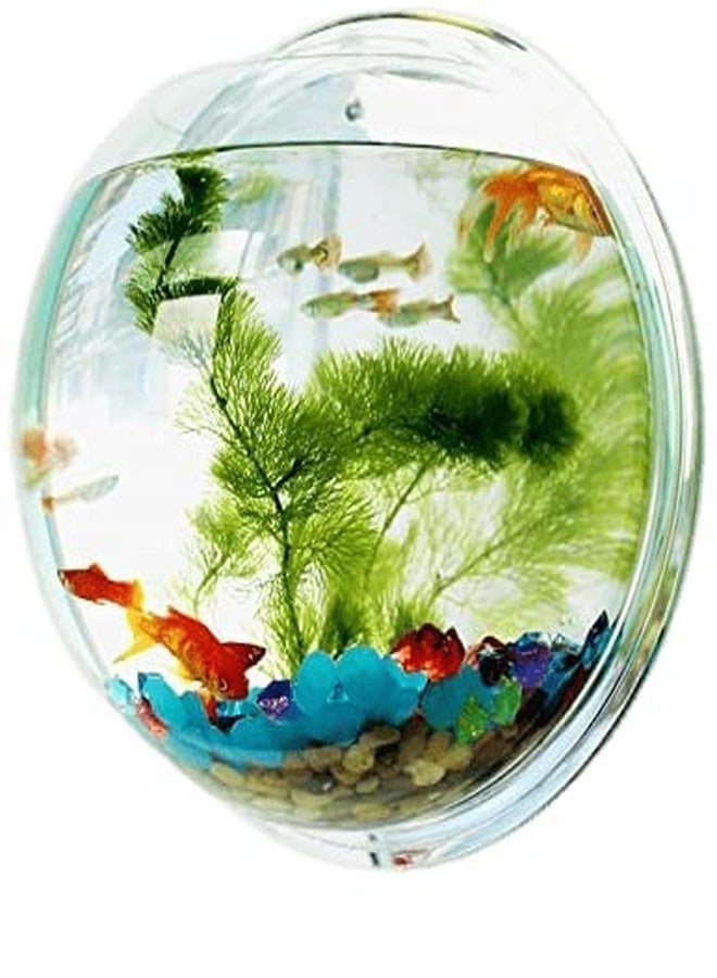 حوض سمك بيتا معلق على الحائط من VAYINATO®، مقاس 12 بوصة - حصى ملونة من Petzlifeworld - Image 3